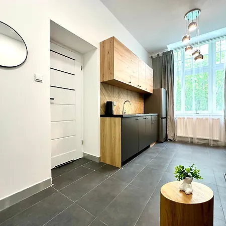 Mini Loft W Centrum & Parking Appartement