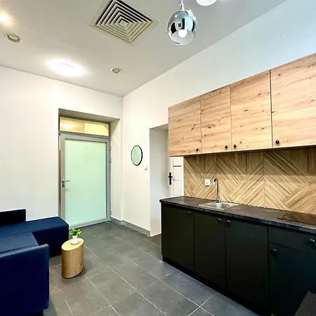 Daire Mini Loft W Centrum & Parking